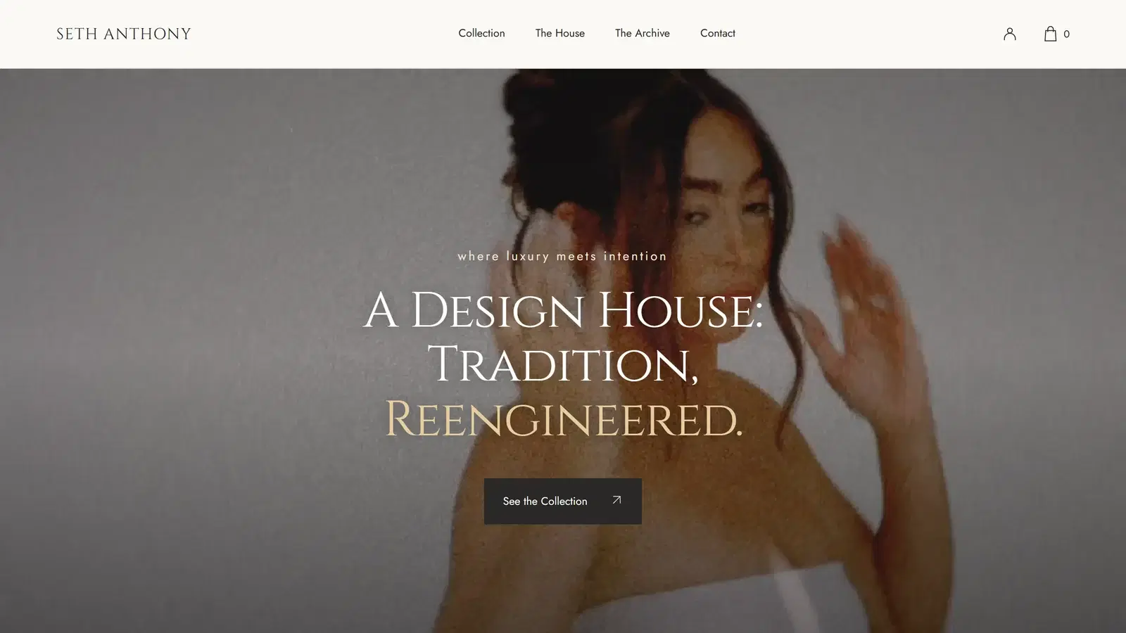 Seth Anthony website built by Nexvato